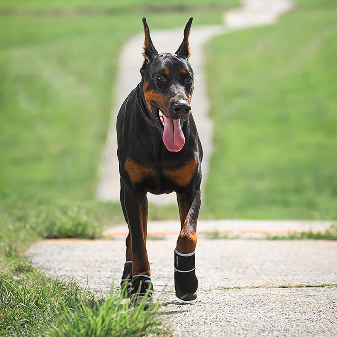 PAWFESSOR 360° Reflective Design Pet Dog Anti-slip Waterproof Shoes Sport Pet Boots