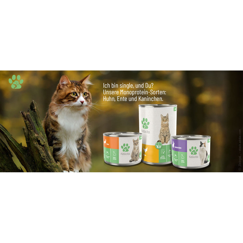 FELLICITA Cat Completed Wet Food Made in Germany 200G Grain Free