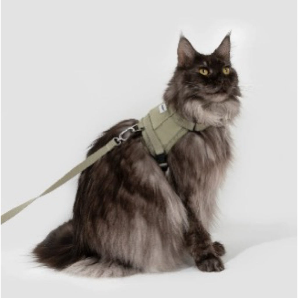 (NEW) VALLEY SERIES CAT VEST HARNESS KIT