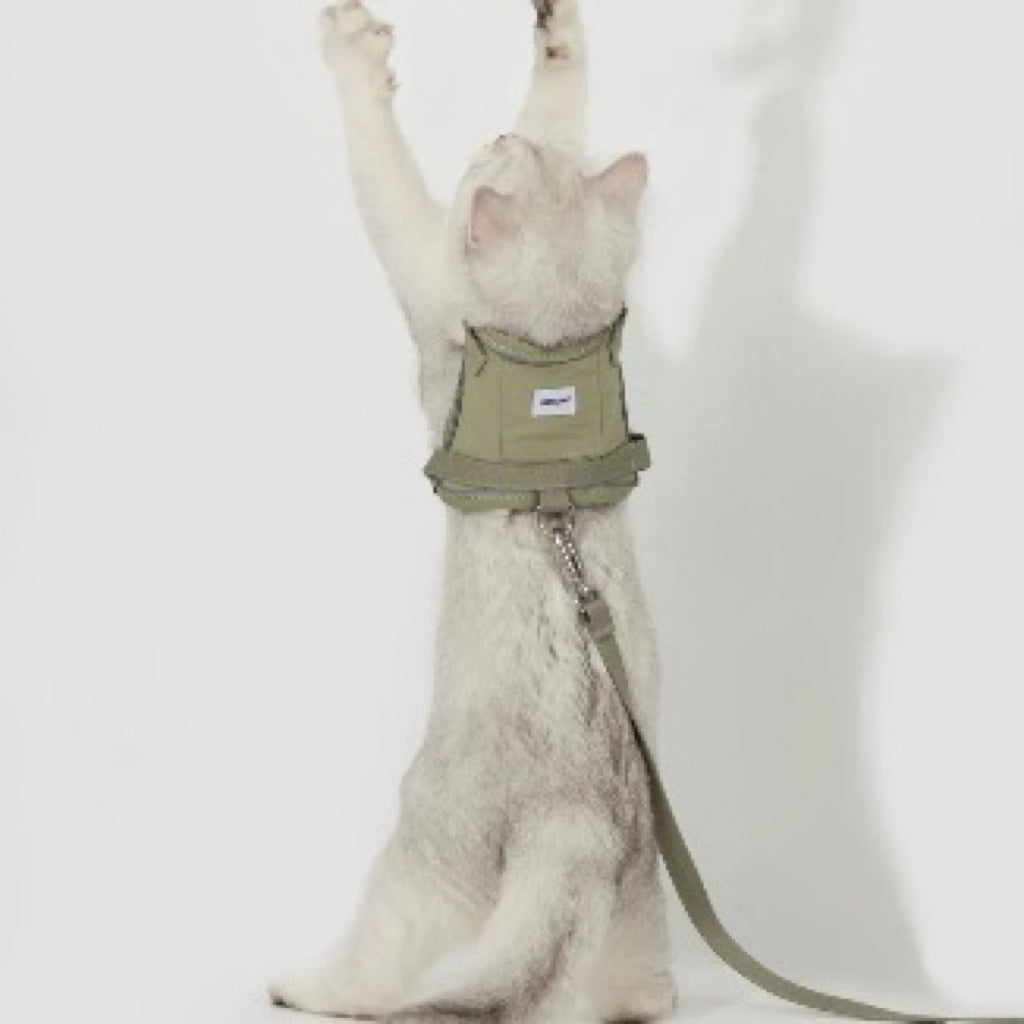 (NEW) VALLEY SERIES CAT VEST HARNESS KIT
