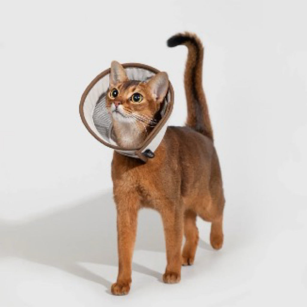 HiDREAM Mesh Elizabeth Ring Pet E Cone Collar Post Surgery Care Cat Dog