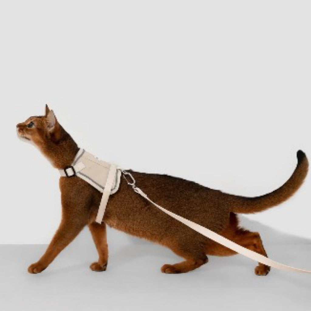 (NEW) VALLEY SERIES CAT VEST HARNESS KIT