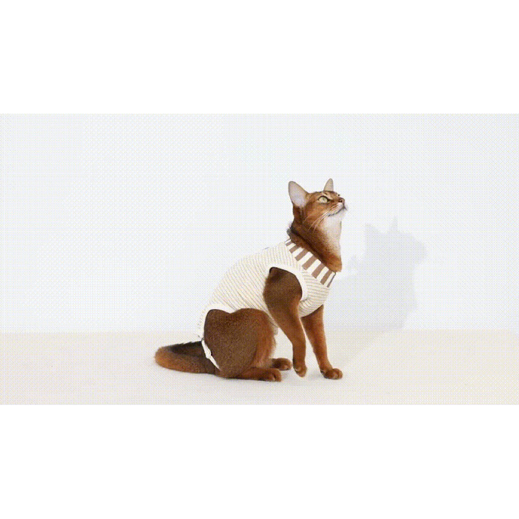 HiDREAM Cat Surgery Recovery Suit Post Surgery Lick Proof