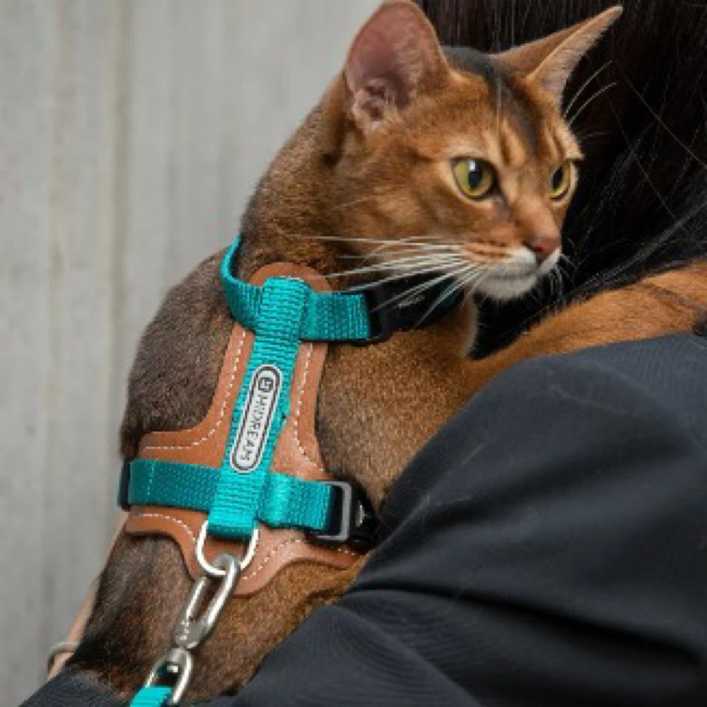 HiDREAM BOBO SERIES - LEATHER PATCHWORK CAT VEST SET