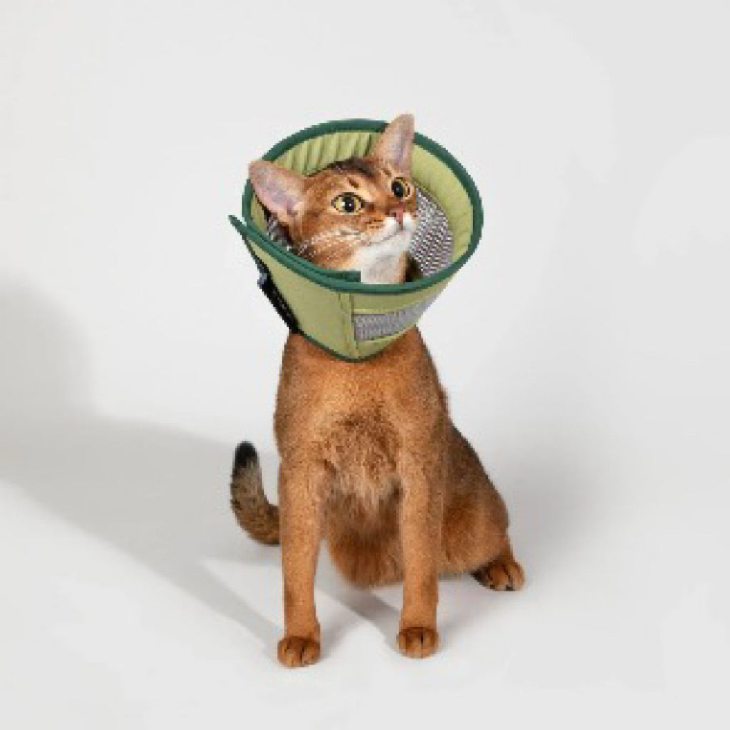 HiDREAM Mesh Elizabeth Ring Pet E Cone Collar Post Surgery Care Cat Dog