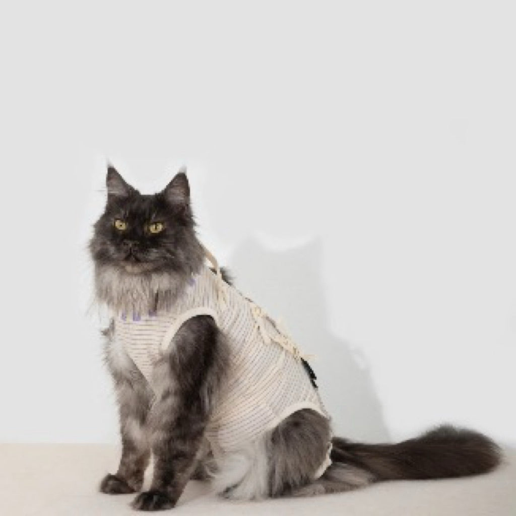 HiDREAM Cat Surgery Recovery Suit Post Surgery Lick Proof