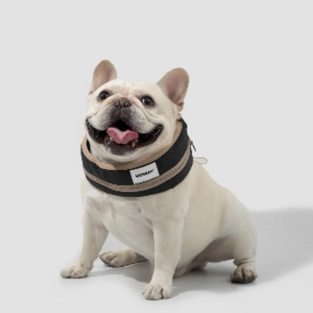 HiDREAM Dog Cooling Collar Neck Cooler Pet Necklace