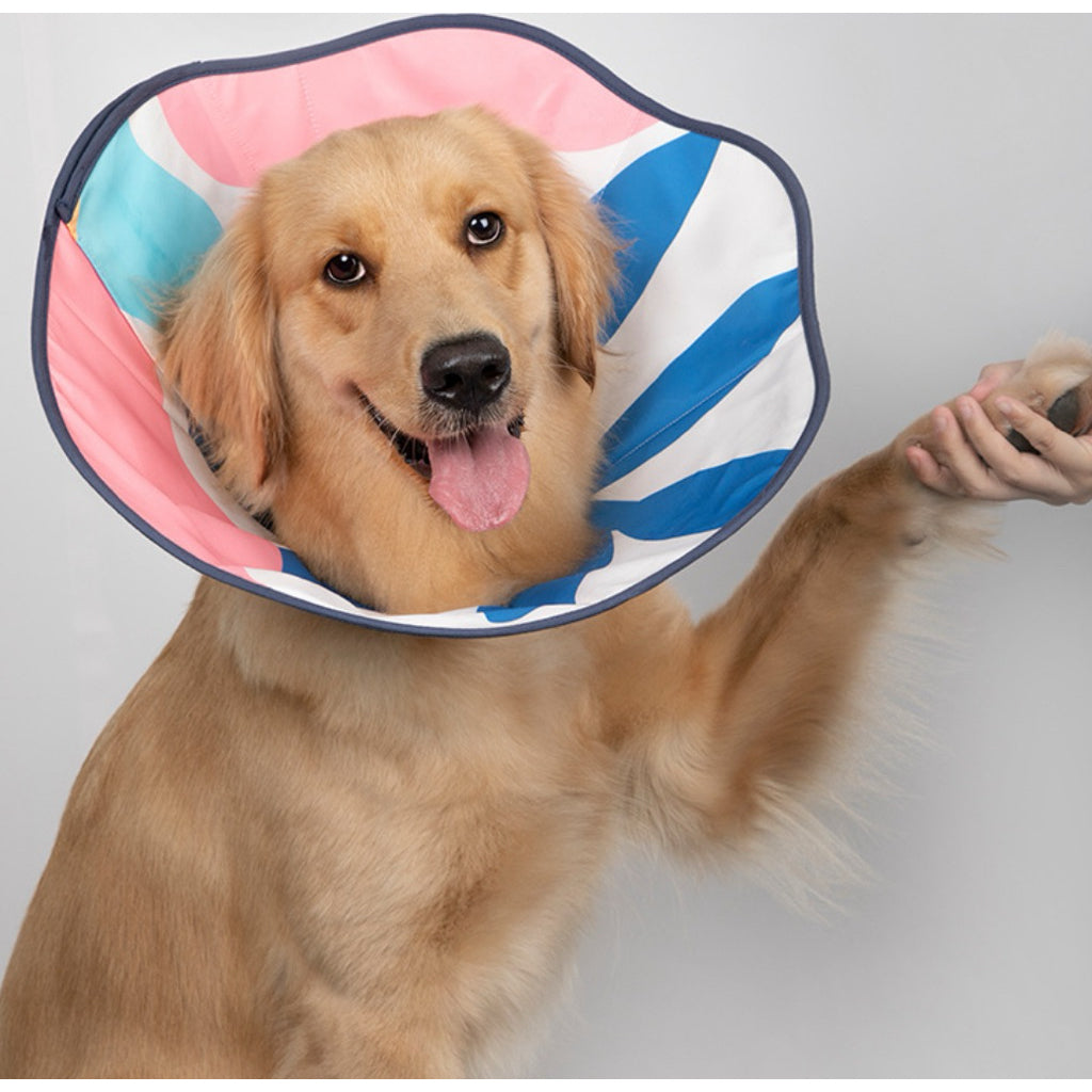 HiDream Flower Taper ELIZABETHAN RING Cone for Pet Cat Dog Light Collar