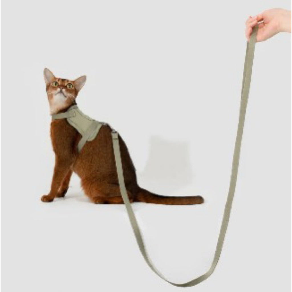 (NEW) VALLEY SERIES CAT VEST HARNESS KIT