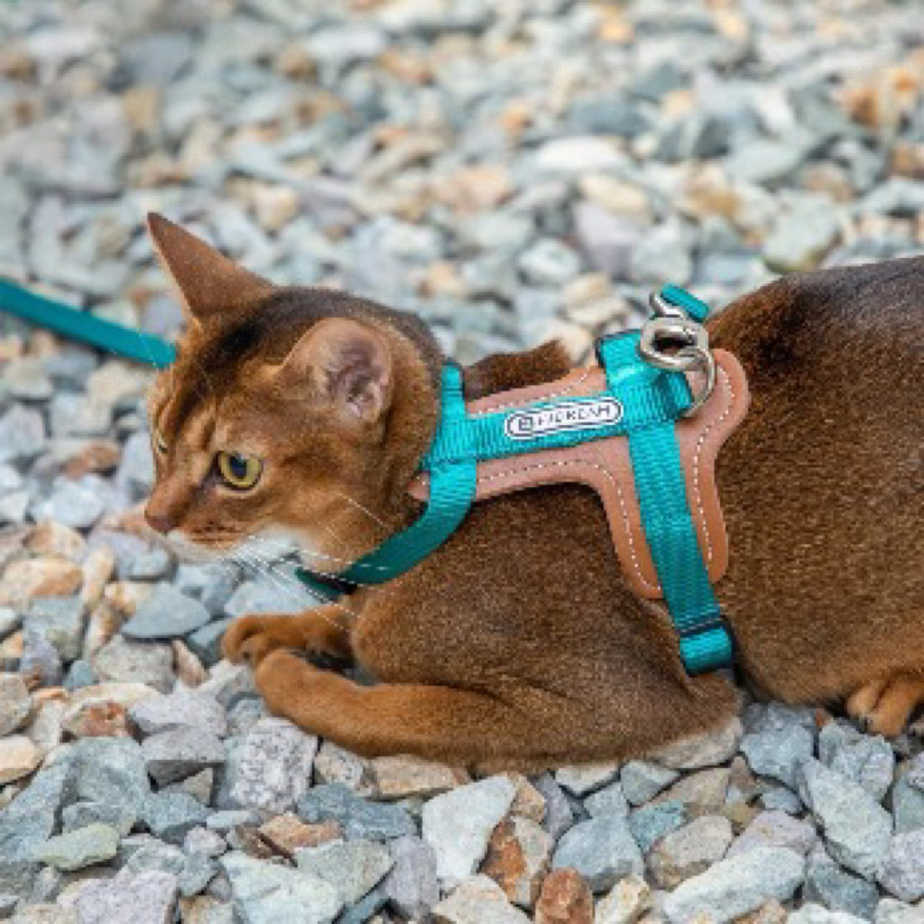 HiDREAM BOBO SERIES - LEATHER PATCHWORK CAT VEST SET