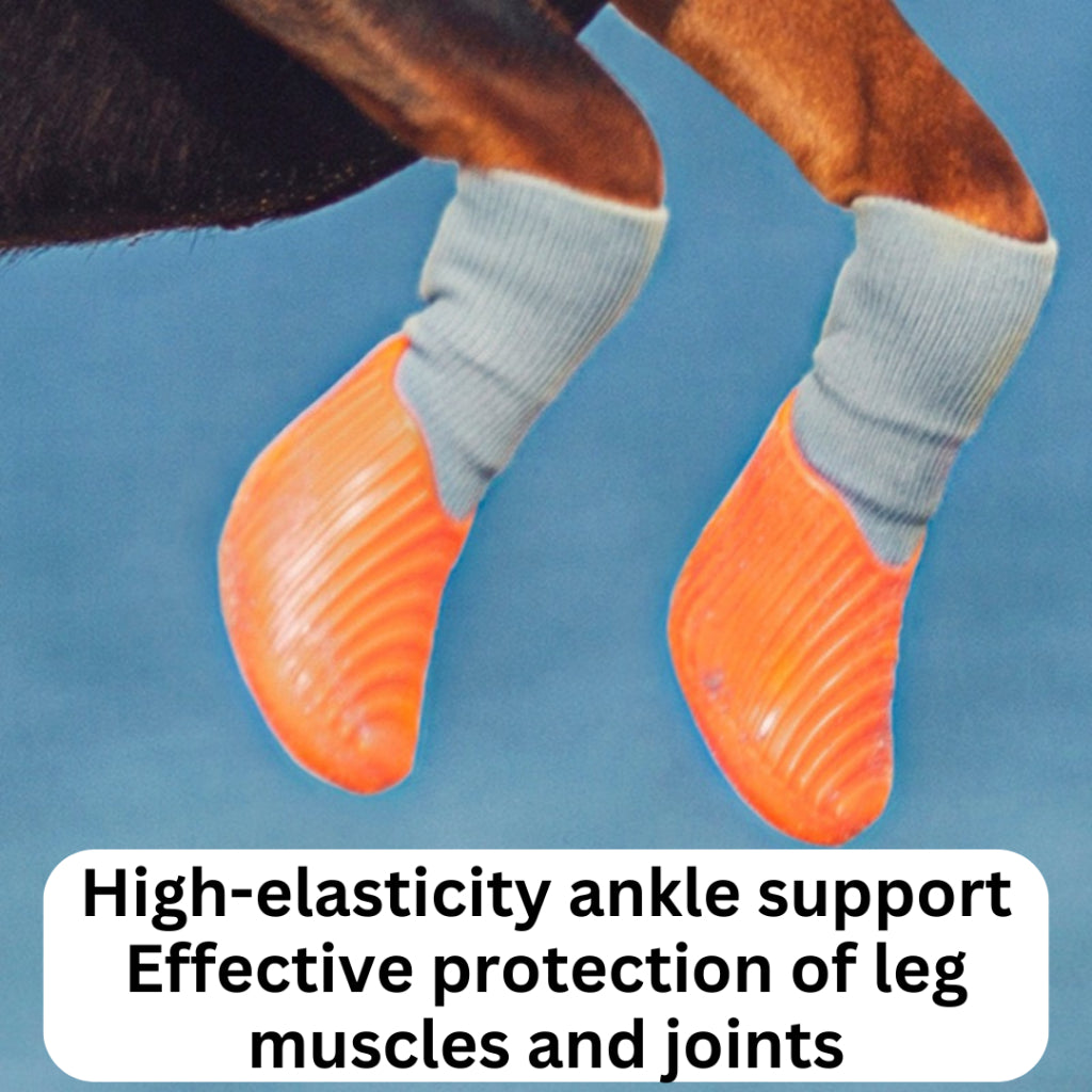 PAWFESSOR Shock-Absorbing Dog Shoes Training Running Flexible Anti-Slip Fit Pet Boots