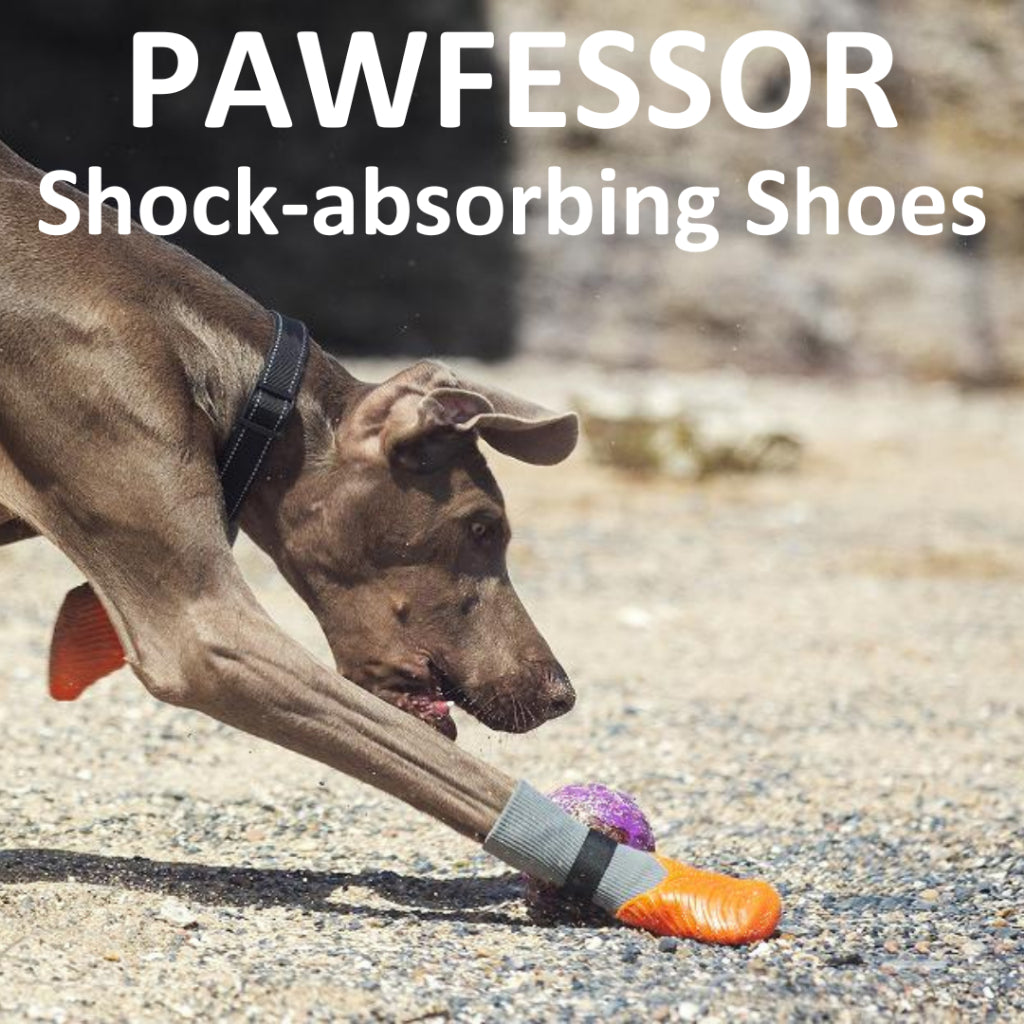 PAWFESSOR Shock-Absorbing Dog Shoes Training Running Flexible Anti-Slip Fit Pet Boots