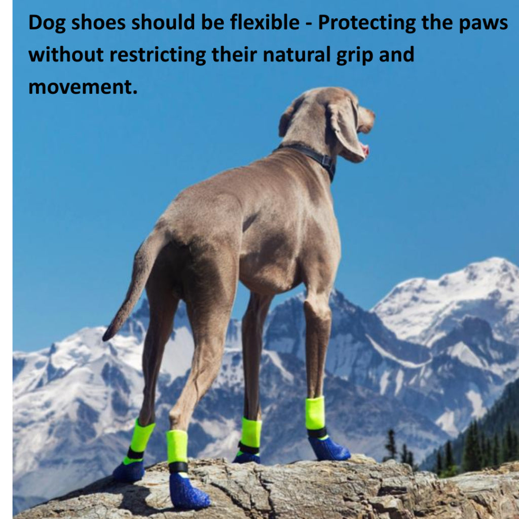 PAWFESSOR Shock-Absorbing Dog Shoes Training Running Flexible Anti-Slip Fit Pet Boots