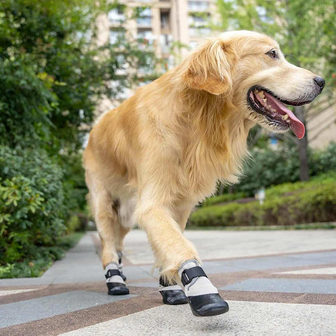 PAWFESSOR Dog Walking Shoes Boots  Waterproof Pet Socks Running Outdoor Shoe