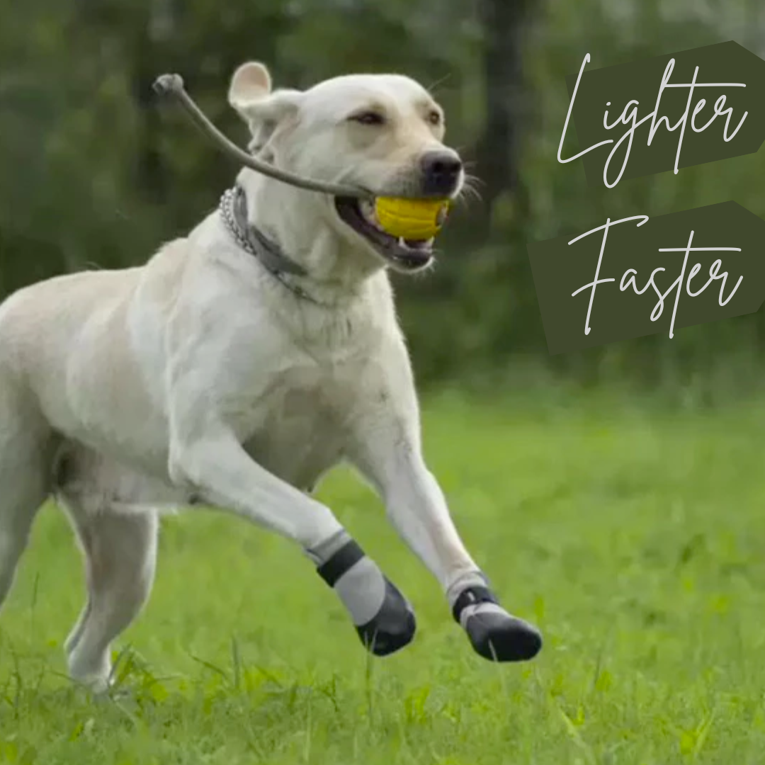 PAWFESSOR Dog Walking Shoes Boots  Waterproof Pet Socks Running Outdoor Shoe