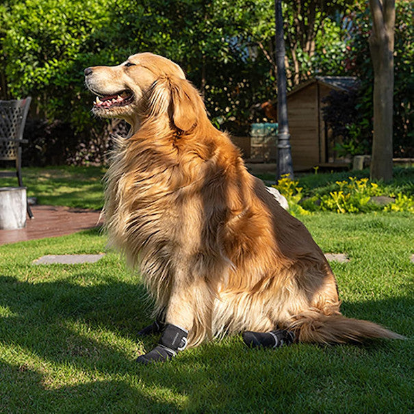 PAWFESSOR 360° Reflective Design Pet Dog Anti-slip Waterproof Shoes Sport Pet Boots