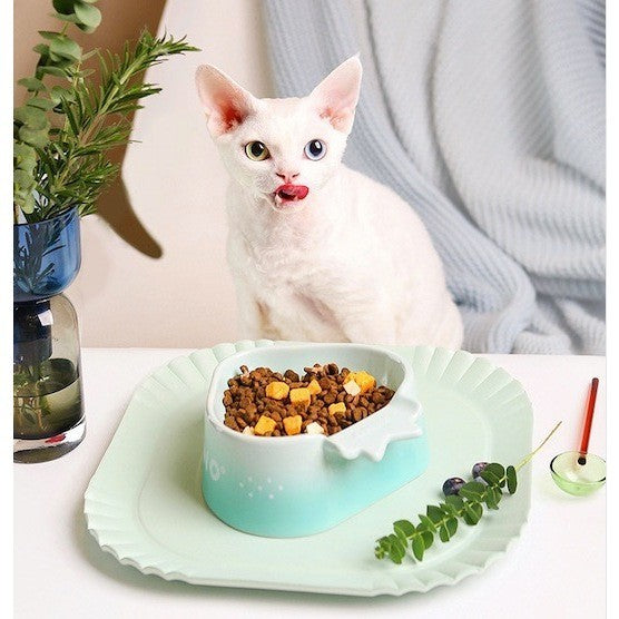 AiNo Strawberry Ceramic Cat Feeding Bowl Dog Pet Eating Tray Feeder