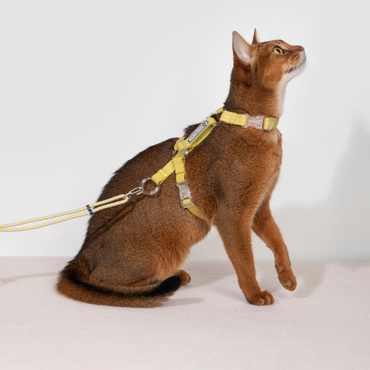 HiDREAM BoBo Classic Cat Leash Collar Harness Walking Rope Light Weight Spliced Nylon Cat Vest Set