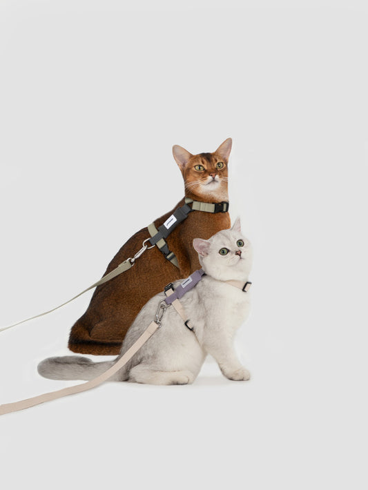 HiDREAM Valley Series Light Cat Gear Walking Leash Adjustable Light Collar Rope