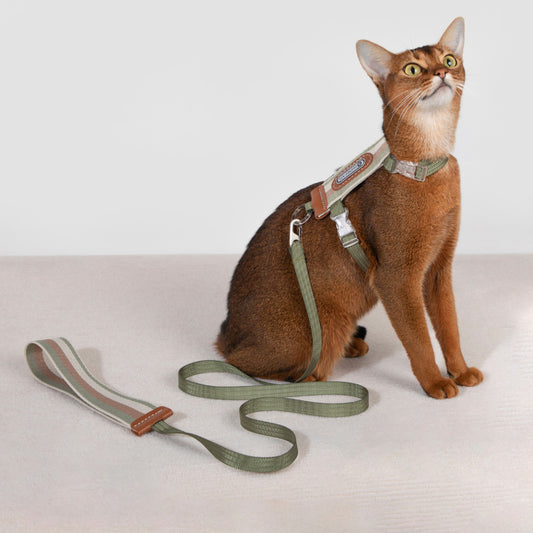 HiDREAM Harness for Cat Light Weight Collar Leash Walking Rope Adjustable Anti-Escape