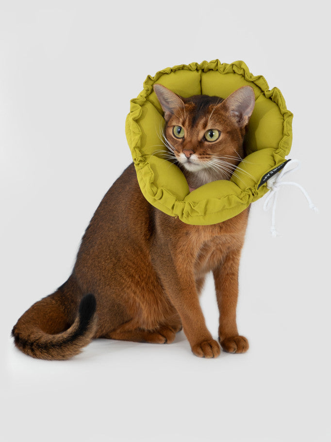HiDREAM Pet Adjustable Soft Collar E-Cone Post Surgery Light Protection Neck Cat Dog Kitten Puppy