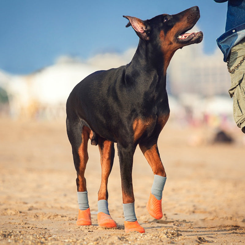 POD Pet Dog Anti-slip Waterproof Socks Shoes Sport Pet Boots