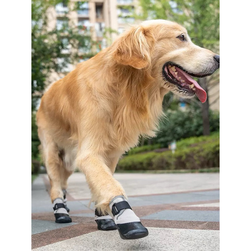 POD Dog Walking Shoes Boots  Waterproof Pet Socks Running Outdoor Shoe