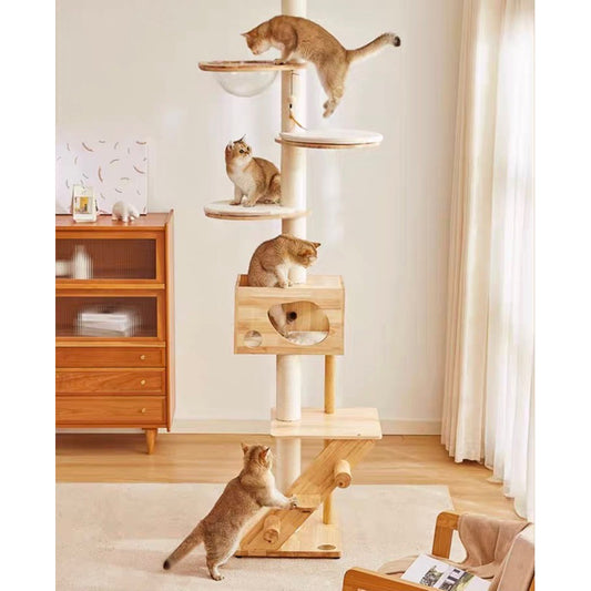 Petsbelle Sky Series Ceiling Cat Condo Climber Tree Solid Wood Scratcher Scratch Post Pet House