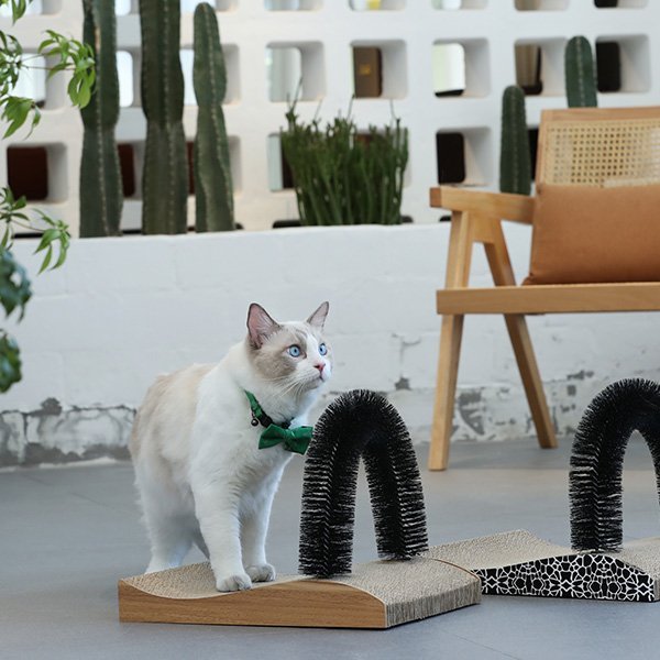 Fukumaru Cat Self Groomer Arch Scratcher with Scratching Pad Massager Toy Brush Pet Bed