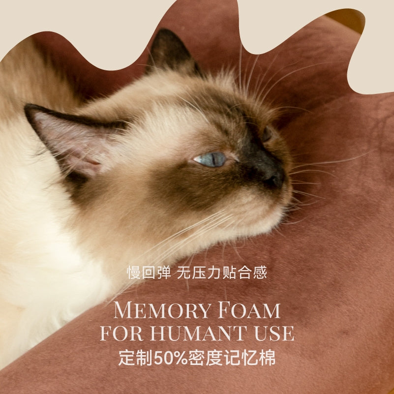 KAMA MUTA Bread Pet Bed Toast Cat Dog Sofa Furniture Solid Wood