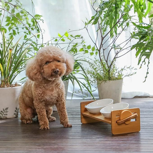 Fukumaru Elevated Cat Dog Ceramic Bowls Pet Feeder 15° Tilted Raised Food Feeding Dishes Solid Bamboo