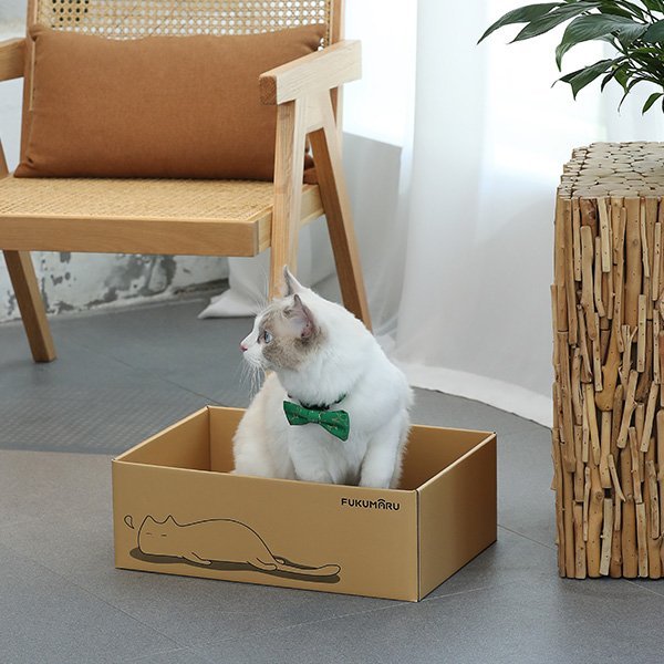 Fukumaru 5 PCS Cat Scratching Boards Scratcher Box Cat Toy Pet Bed Furniture