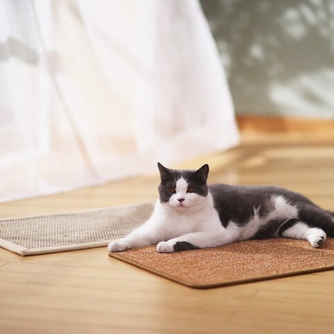 Fukumaru Cat Sisal Mat Scratcher Pad