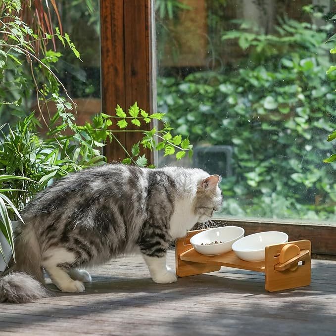 Fukumaru Elevated Cat Dog Ceramic Bowls Pet Feeder 15° Tilted Raised Food Feeding Dishes Solid Bamboo