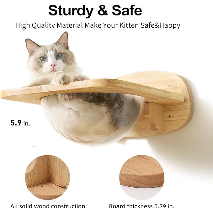 Fukumaru Cat Wall Furniture Set Transparent Capsule Shelves with 2 PCs Pedals