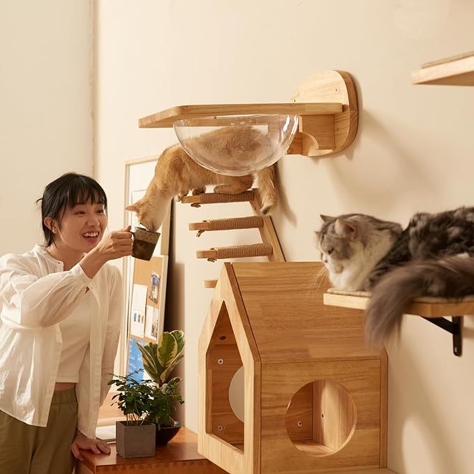 Fukumaru Cat Climbing Self Wall Mounted Four Step Cat Stairway with Jute Scratching for Pets Perch