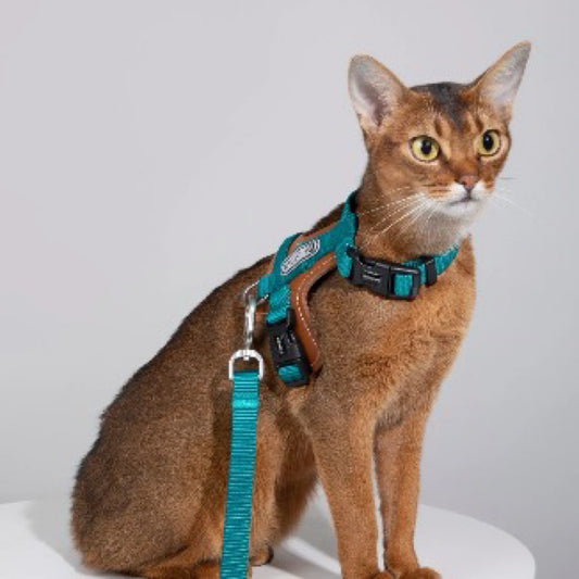 HiDREAM BOBO SERIES - LEATHER PATCHWORK CAT VEST SET