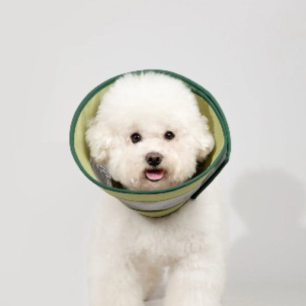 HiDREAM Mesh Elizabeth Ring Pet E Cone Collar Post Surgery Care Cat Dog