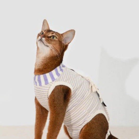 HiDREAM Cat Surgery Recovery Suit Post Surgery Lick Proof