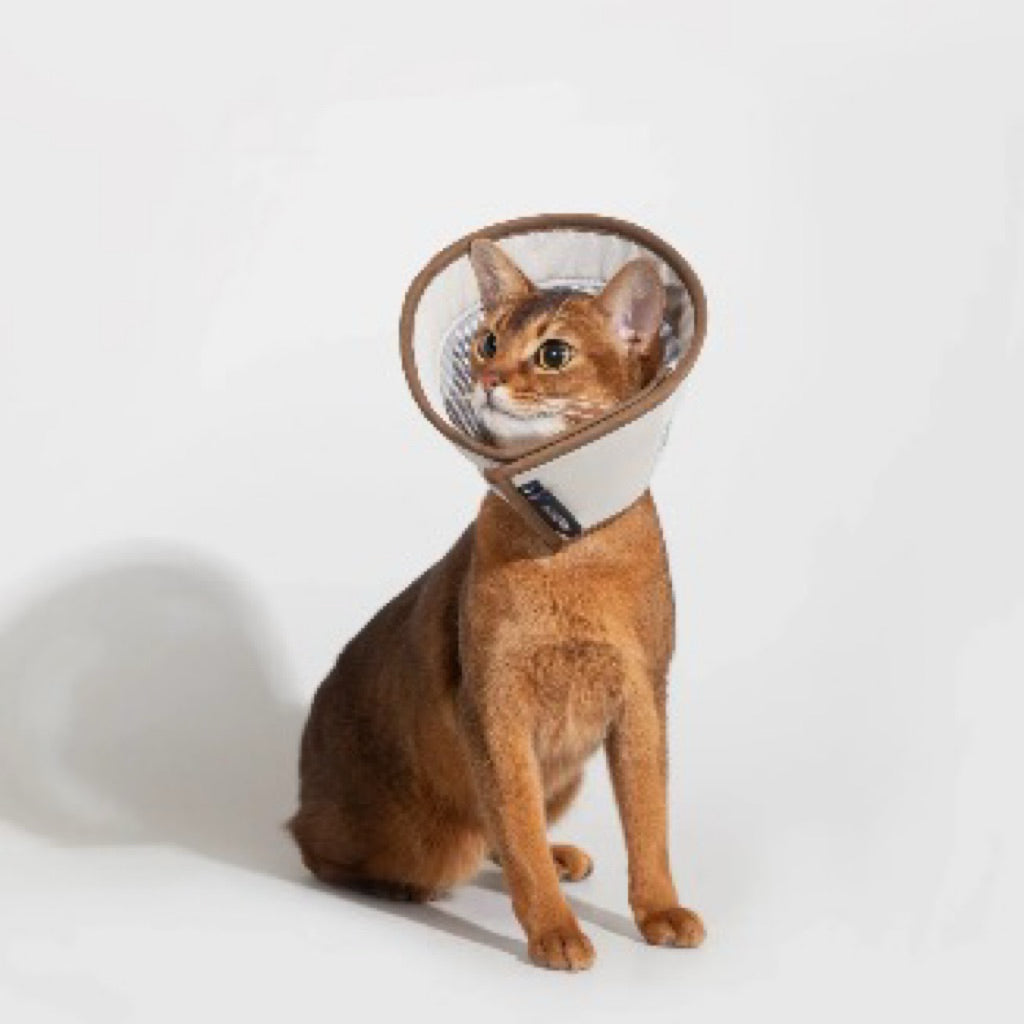 HiDREAM Mesh Elizabeth Ring Pet E Cone Collar Post Surgery Care Cat Dog