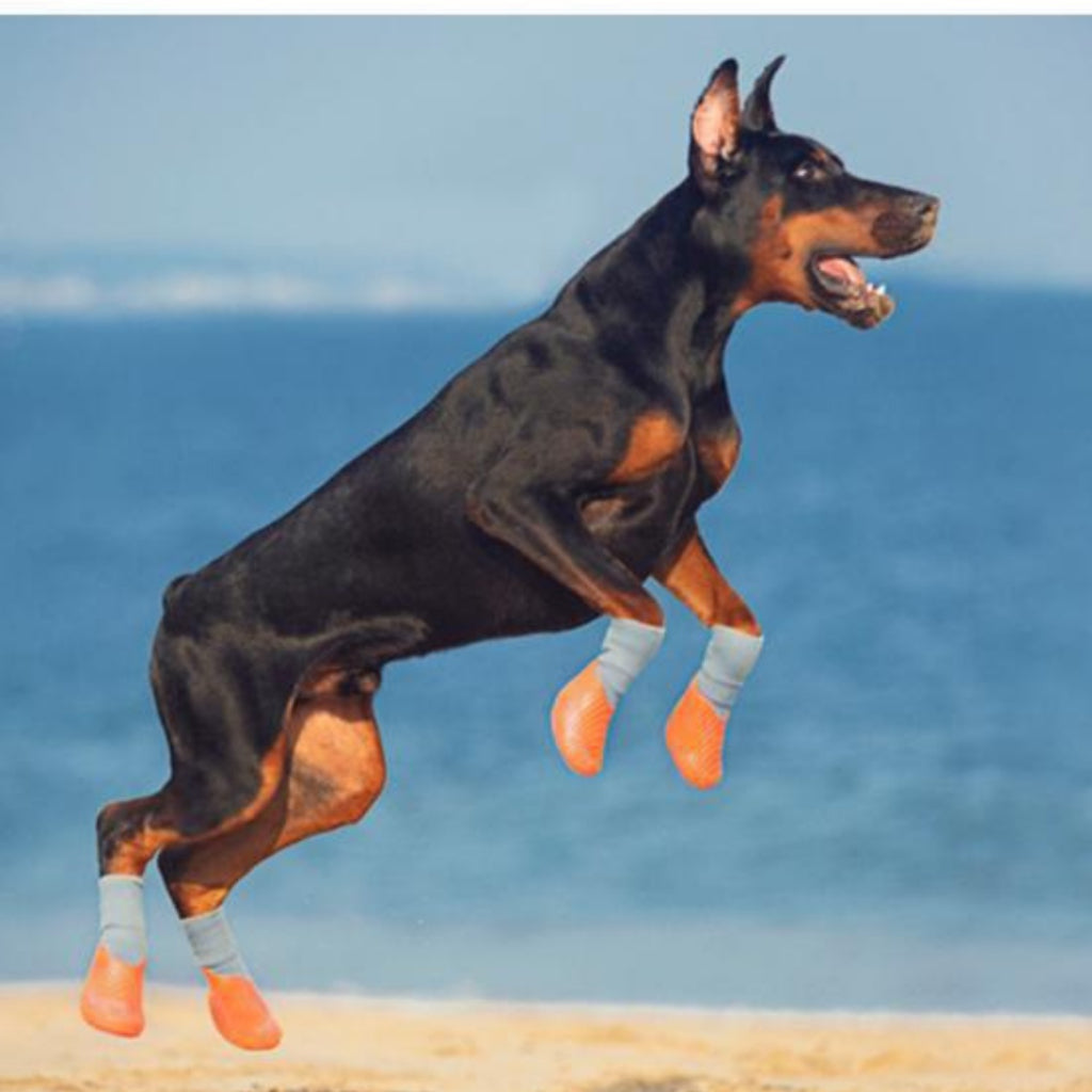 PAWFESSOR Shock-Absorbing Dog Shoes Training Running Flexible Anti-Slip Fit Pet Boots