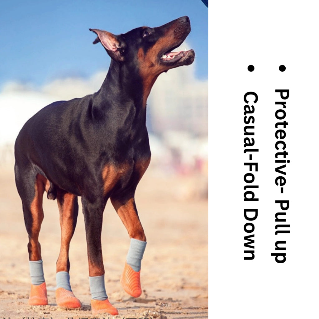 PAWFESSOR Shock-Absorbing Dog Shoes Training Running Flexible Anti-Slip Fit Pet Boots