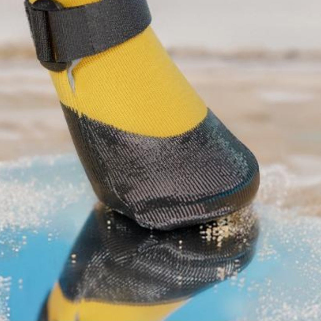 PAWFESSOR Spring/Autumn Fleece-Lined Dog Walking Running Shoes Boots Waterproof City Outdoor