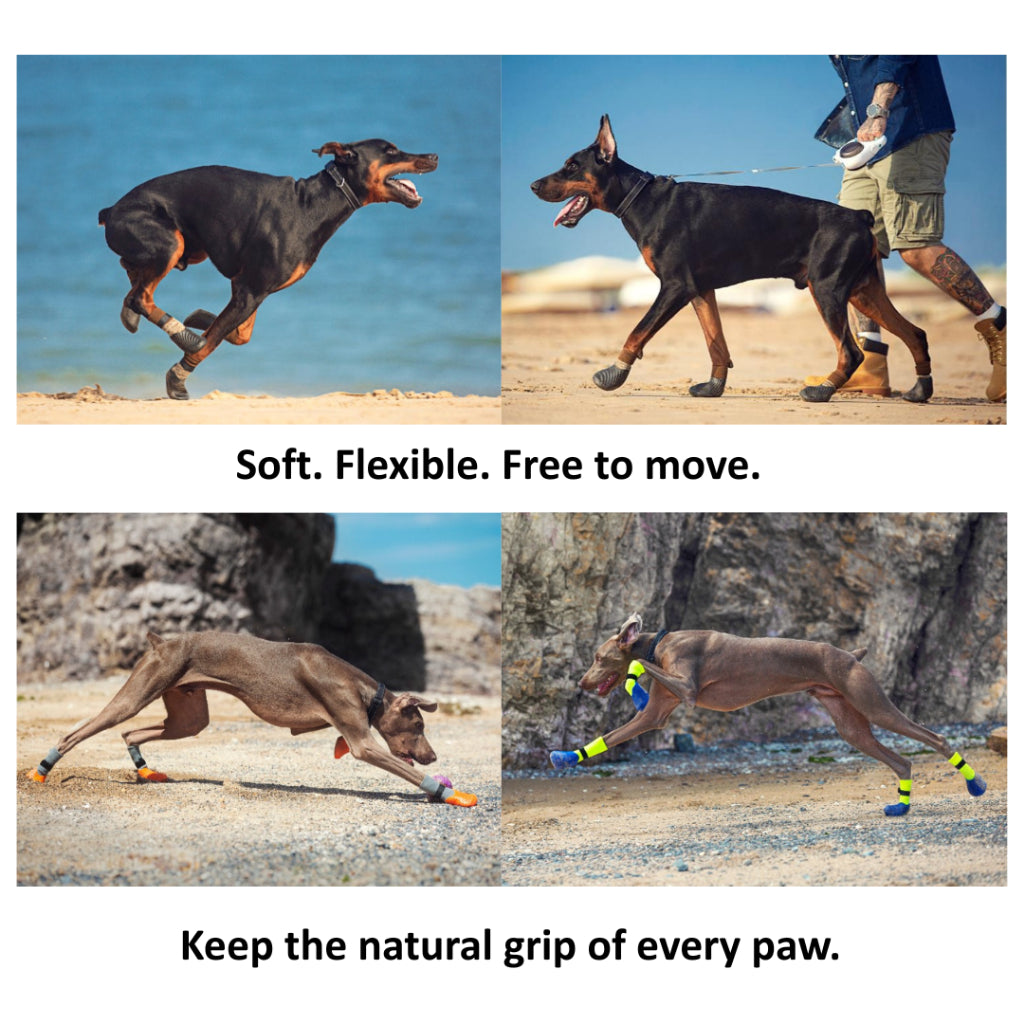 PAWFESSOR Shock-Absorbing Dog Shoes Training Running Flexible Anti-Slip Fit Pet Boots