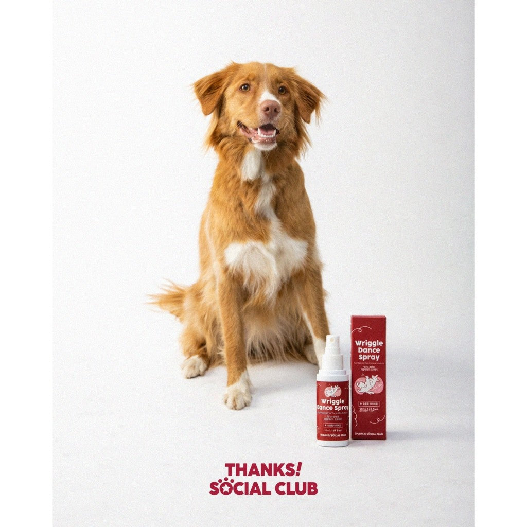TSC Wriggle Dance Spray for Dog Separation Anxiety Solution Natural Olfactory Signal Made in Korean Thanks! Social Club