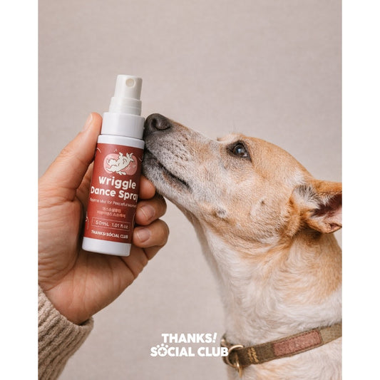 TSC Wriggle Dance Spray for Dog Separation Anxiety Solution Natural Olfactory Signal Made in Korean Thanks! Social Club